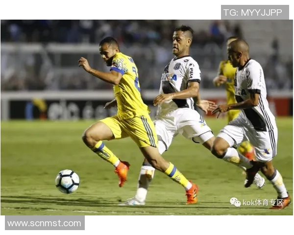 帕尔梅拉斯与庞普雷塔的激烈对决揭示巴西足球的魅力与竞争力