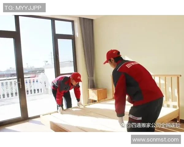 搬家过程中如何高效整理物品与搬运技巧轻松解决搬家难题