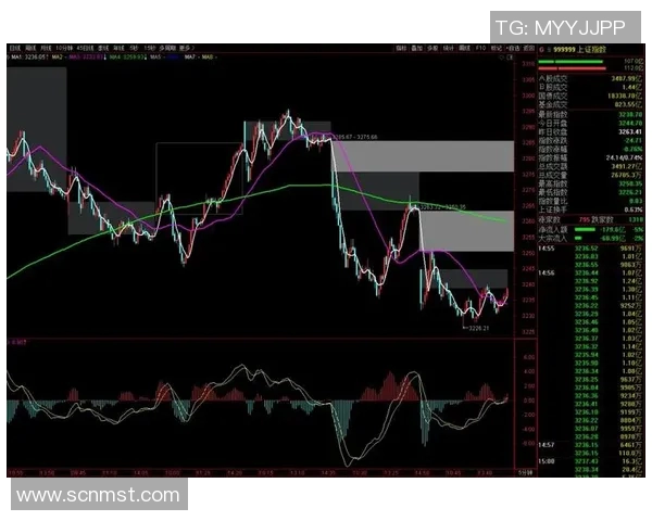 深入分析V5战队的进攻策略与战术布局探讨