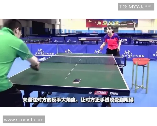 西安乒乓球队区域防守分析与战术调整的得与失探讨